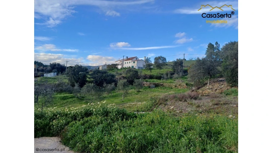 Moradia T3 para Venda em Sobreira Formosa e Alvito da Beira Foto 12