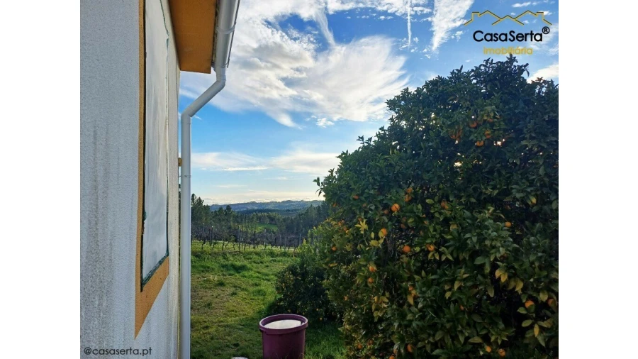 Moradia T3 para Venda em Sobreira Formosa e Alvito da Beira Foto 4