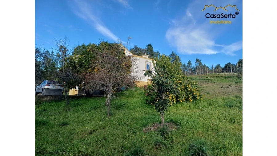 Moradia T3 para Venda em Sobreira Formosa e Alvito da Beira Foto 14