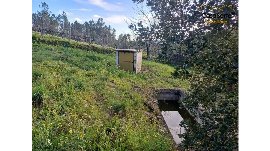 Moradia T3 para Venda em Sobreira Formosa e Alvito da Beira Foto 13