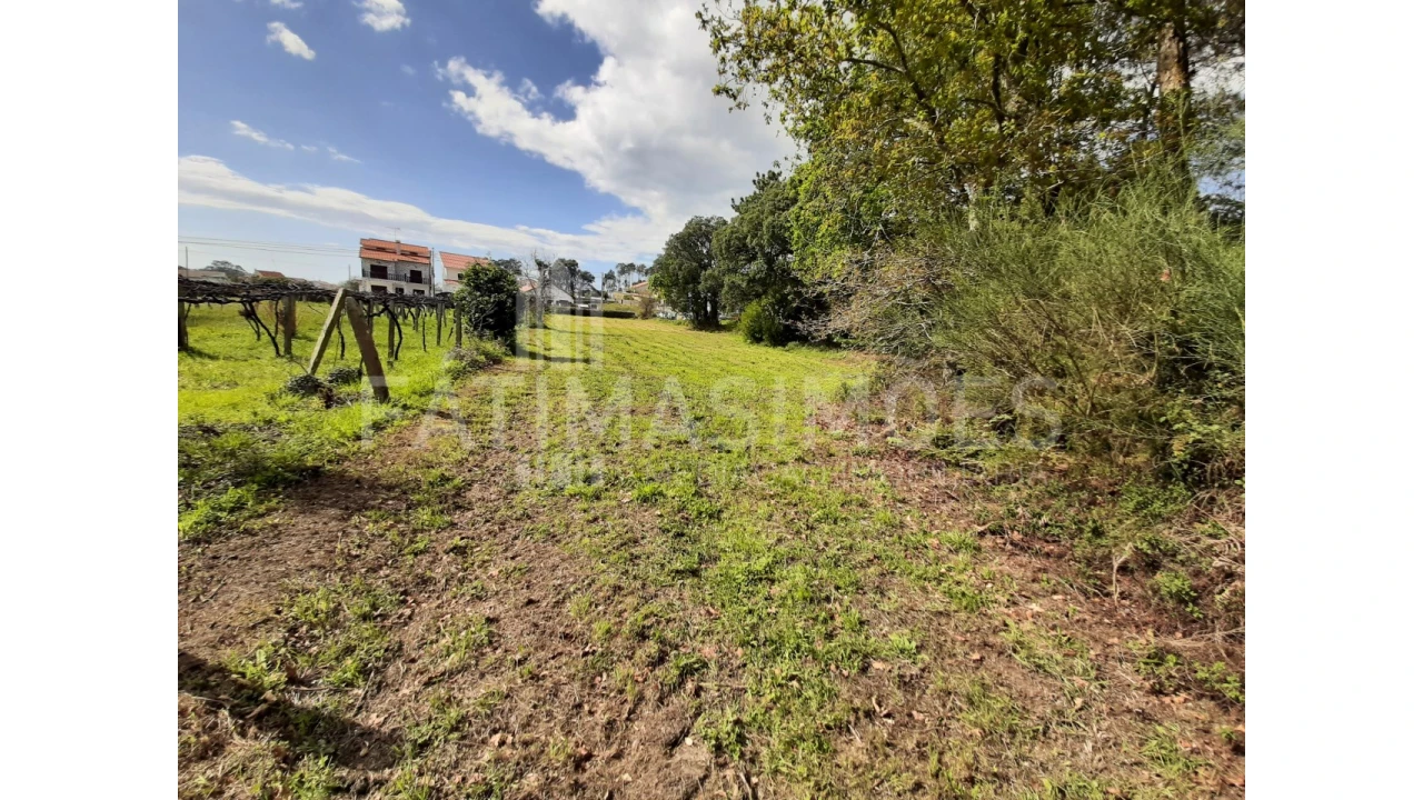 Terreno para Venda em Vile Foto 1