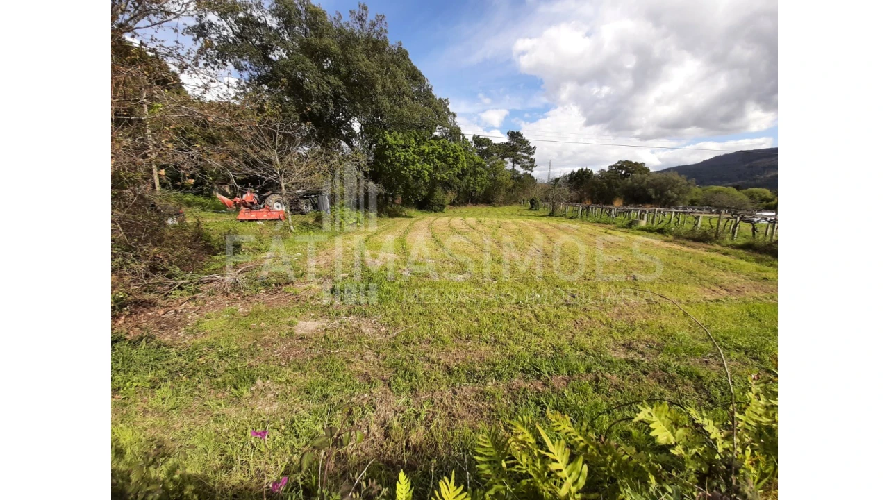 Terreno para Venda em Vile Foto 5