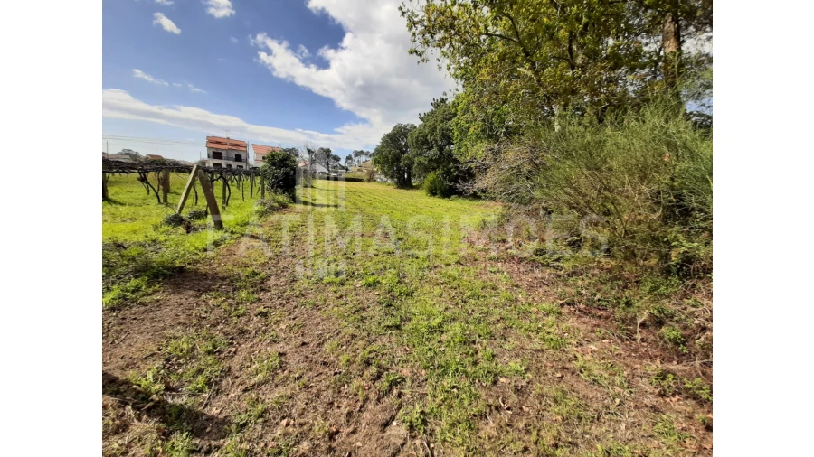 Terreno para Venda em Vile