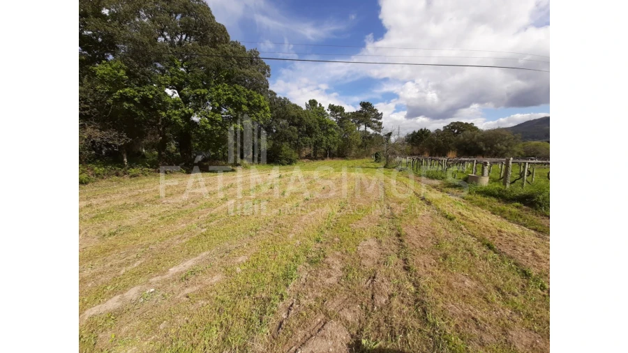 Terreno para Venda em Vile Foto 2