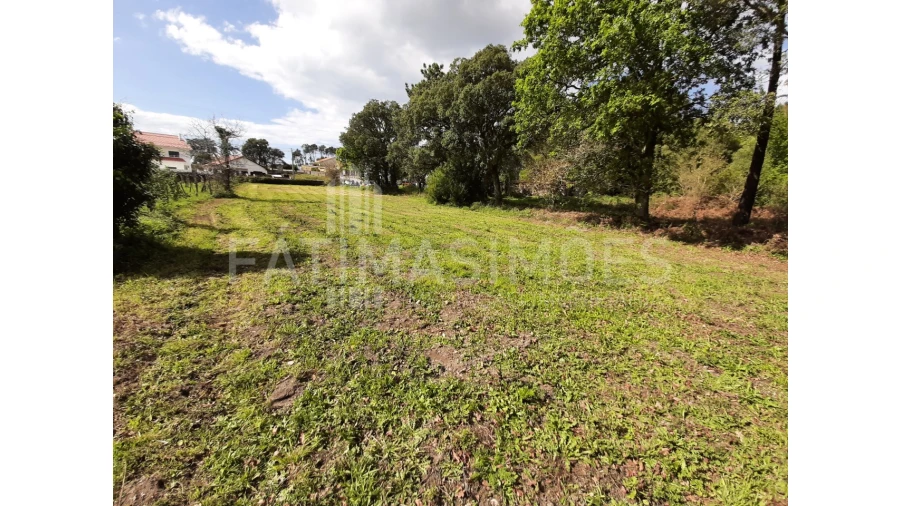 Terreno para Venda em Vile Foto 3