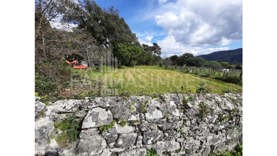 Terreno para Venda em Vile Foto 4