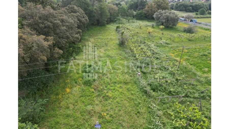 Terreno para Venda em Vile Foto 9