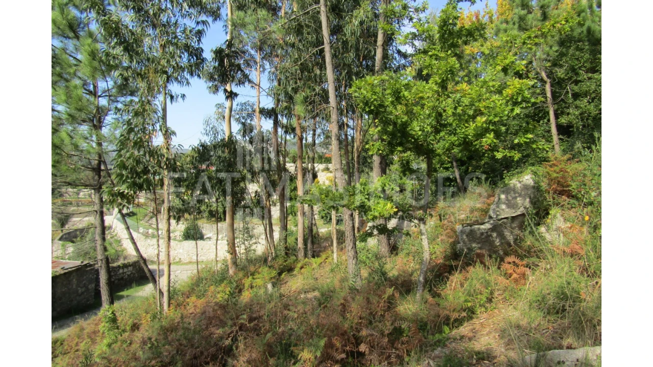 Terreno para Venda em Riba de Ancora Foto 2