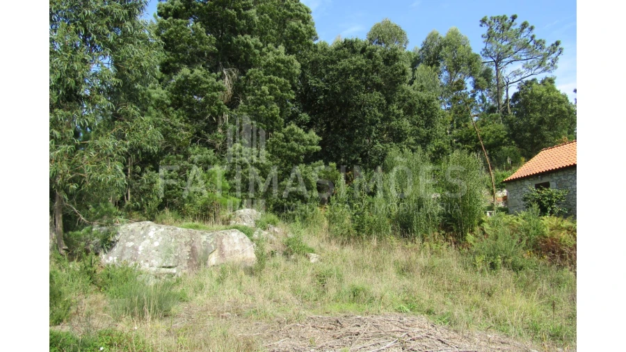 Terreno para Venda em Riba de Ancora Foto 3