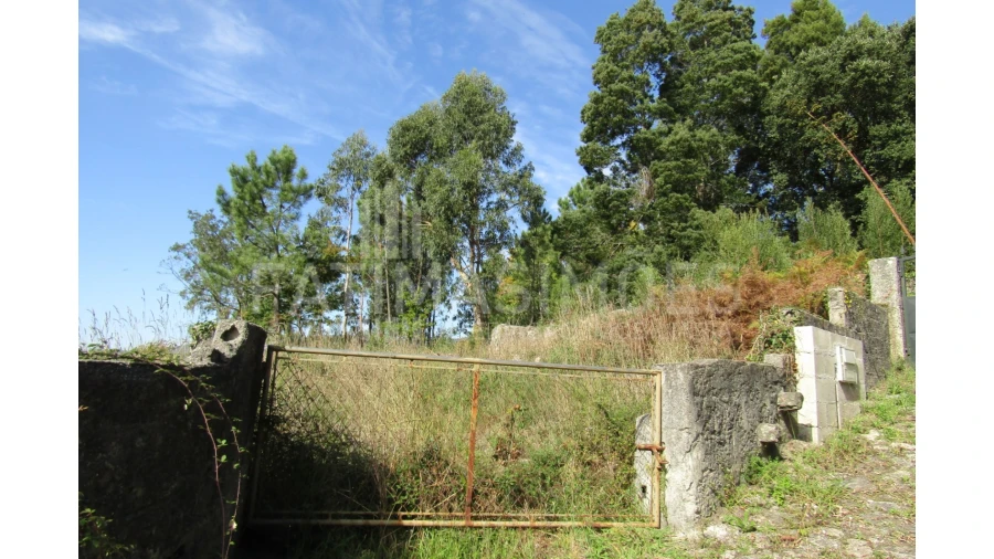 Terreno para Venda em Riba de Ancora Foto 4