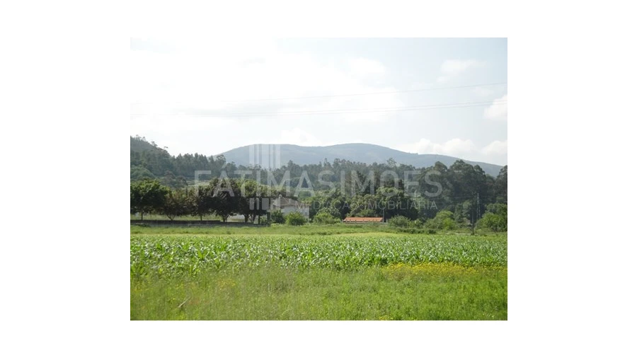 Terreno para Venda em Vilar de Mouros Foto 1