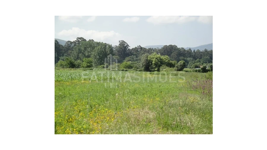 Terreno para Venda em Vilar de Mouros Foto 4