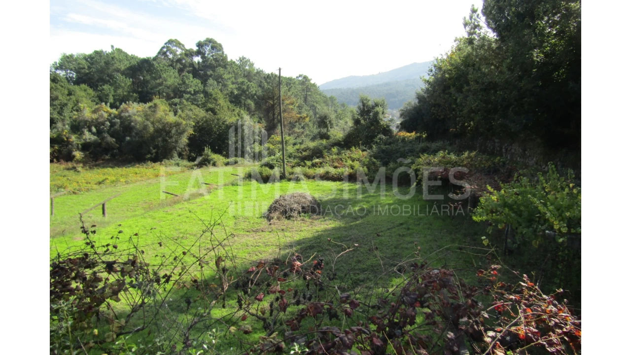 Terreno para Venda em Riba de Ancora Foto 1