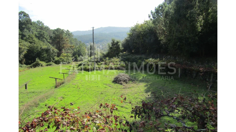 Terreno para Venda em Riba de Ancora Foto 3