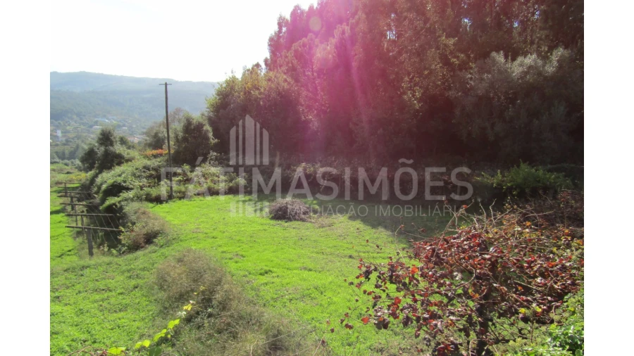 Terreno para Venda em Riba de Ancora Foto 4