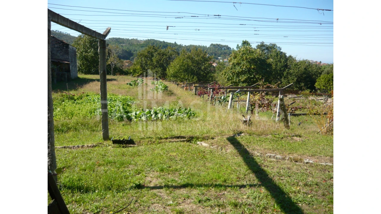 Quinta para Venda em Ancora Foto 2