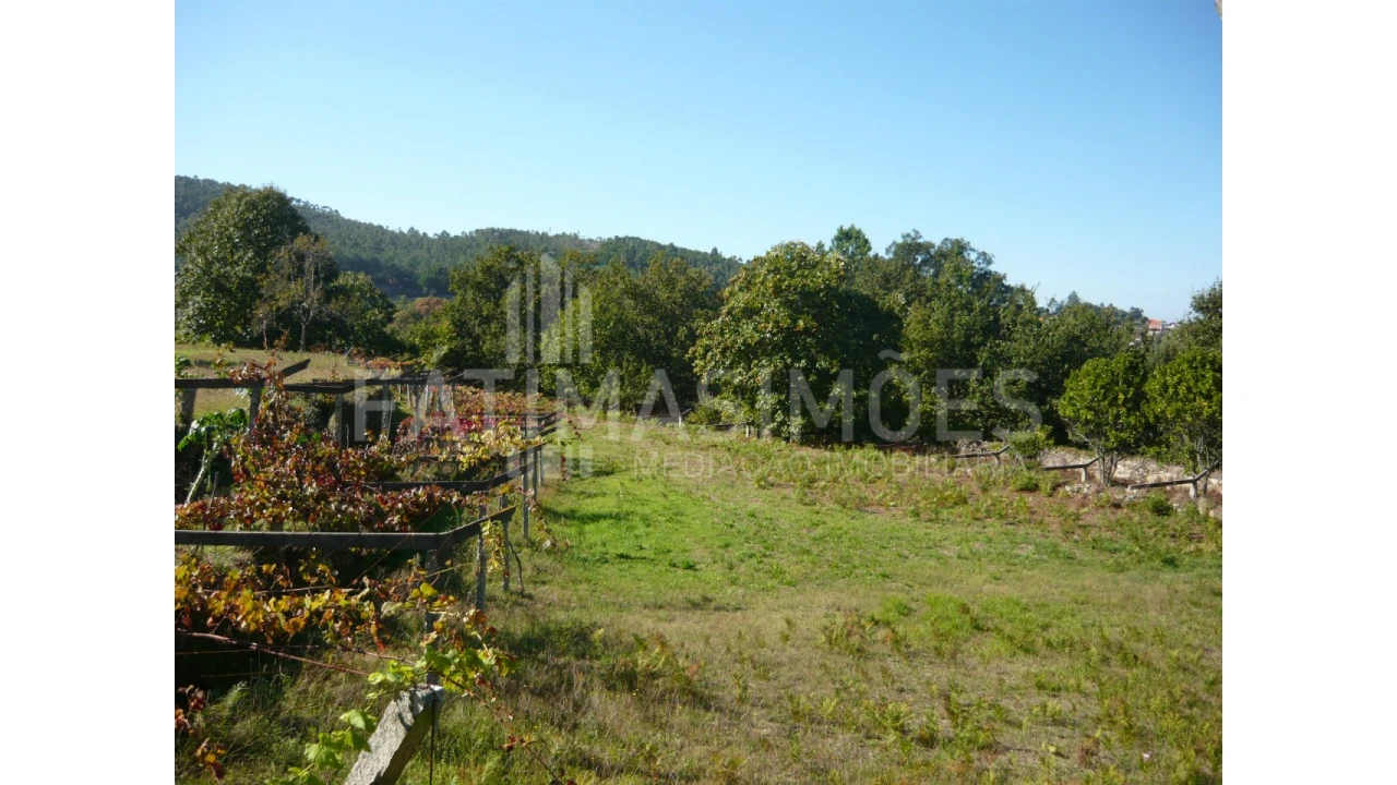 Quinta para Venda em Ancora Foto 4