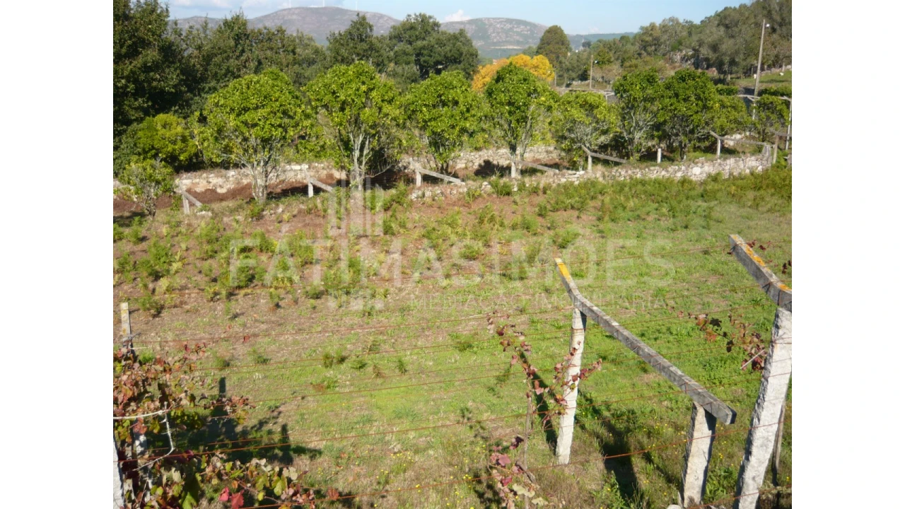 Quinta para Venda em Ancora Foto 10