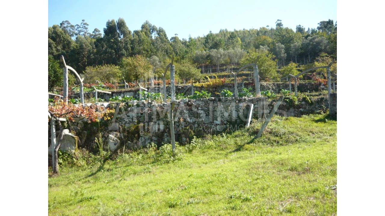 Quinta para Venda em Ancora Foto 13