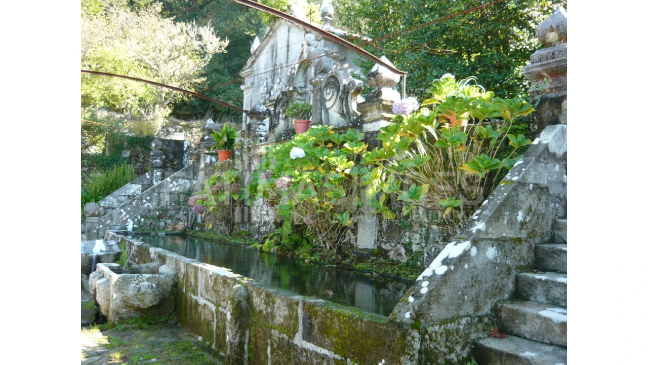 Quinta para Venda em Ancora Foto 17