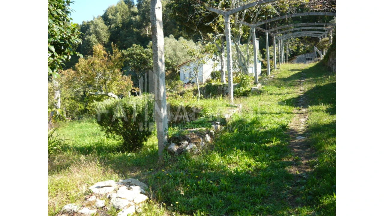 Quinta para Venda em Ancora Foto 24