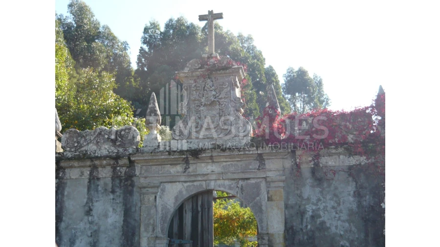 Quinta para Venda em Ancora Foto 1