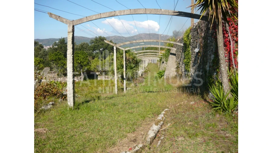 Quinta para Venda em Ancora Foto 3