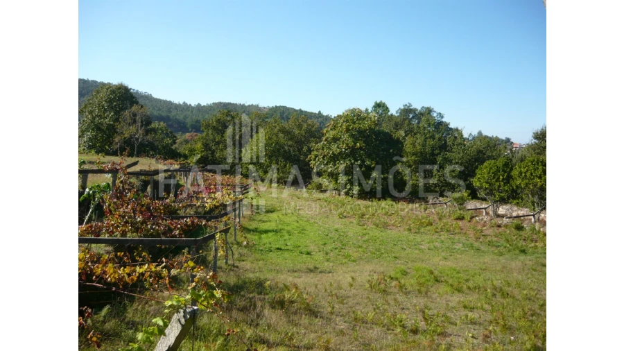 Quinta para Venda em Ancora Foto 4