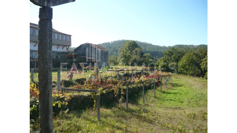 Quinta para Venda em Ancora Foto 5