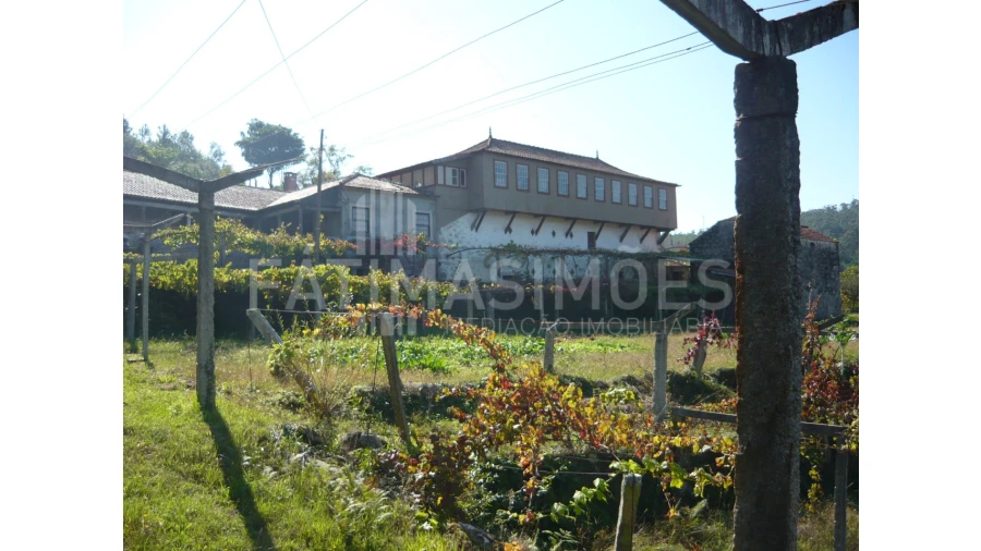 Quinta para Venda em Ancora Foto 6