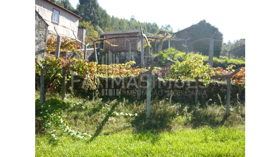 Quinta para Venda em Ancora Foto 9