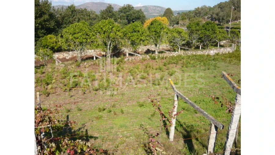 Quinta para Venda em Ancora Foto 10