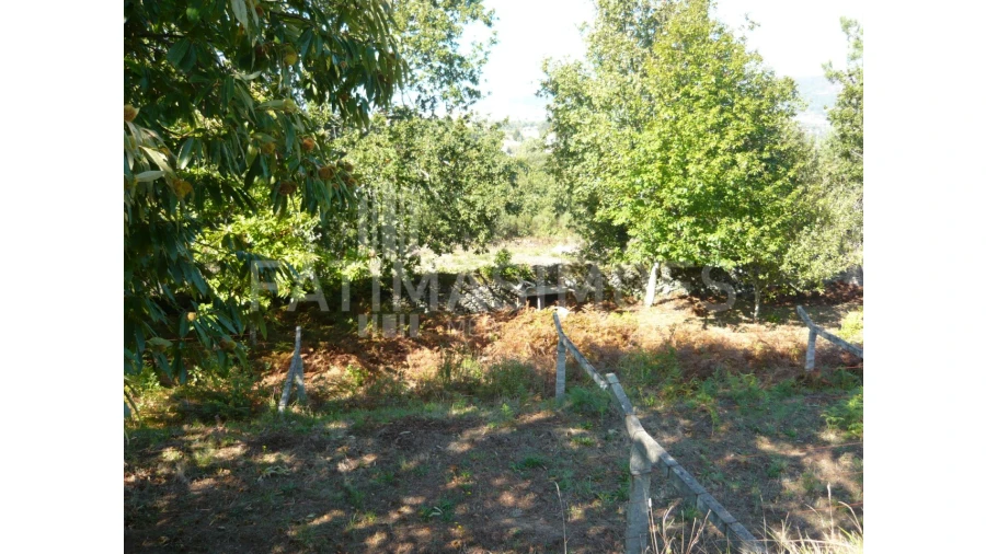 Quinta para Venda em Ancora Foto 12