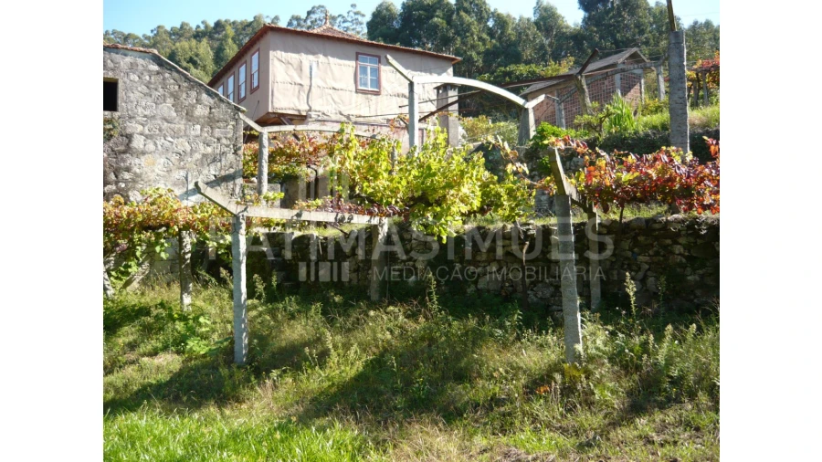 Quinta para Venda em Ancora Foto 14