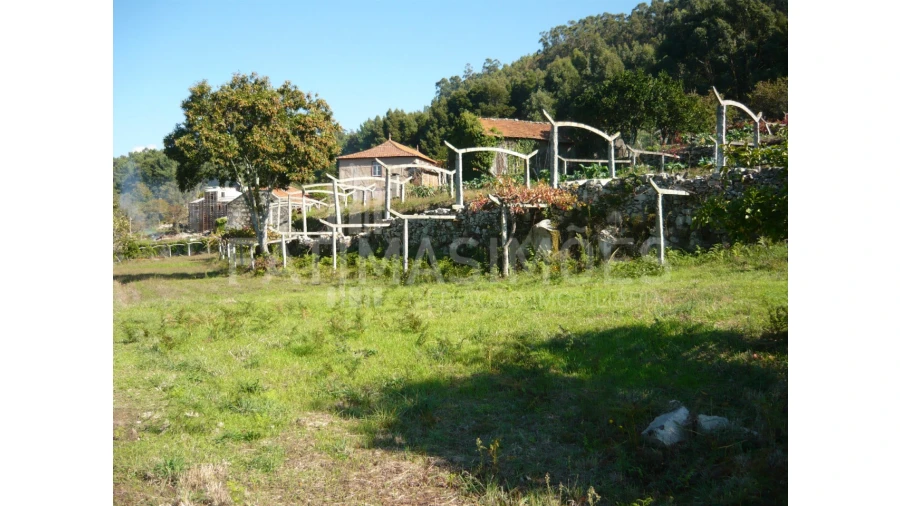 Quinta para Venda em Ancora Foto 15