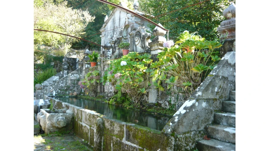 Quinta para Venda em Ancora Foto 17