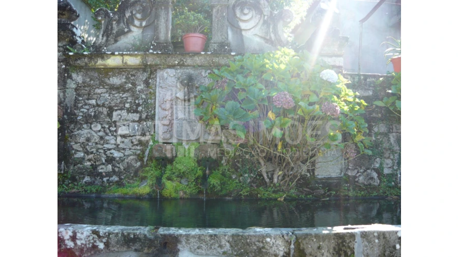 Quinta para Venda em Ancora Foto 18