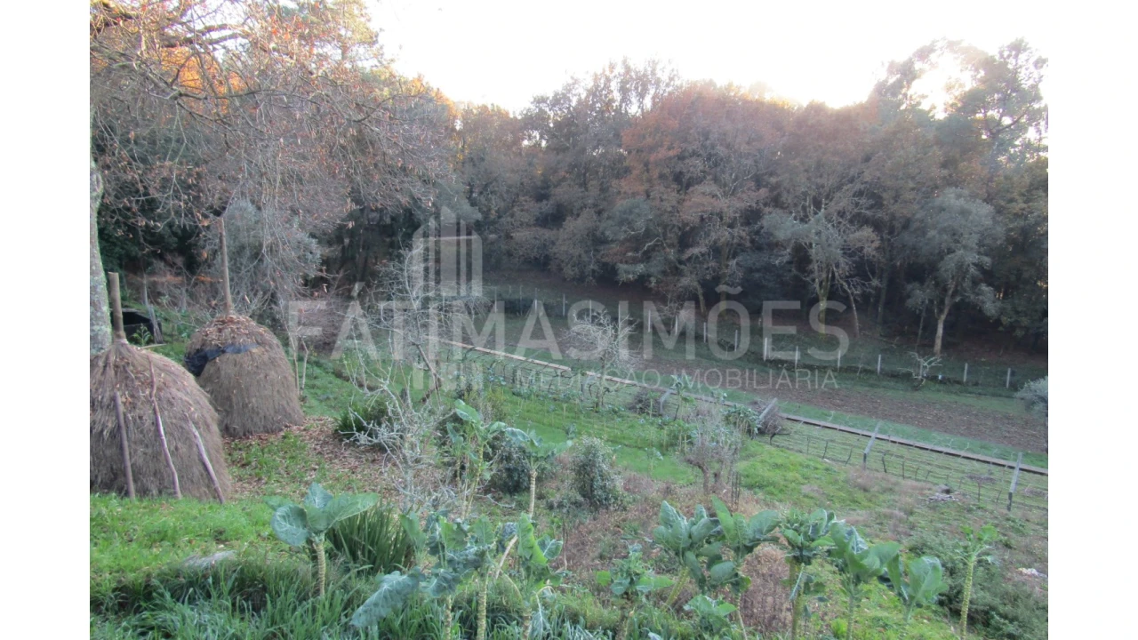 Terreno para Venda em Gondar e Orbacém Foto 1