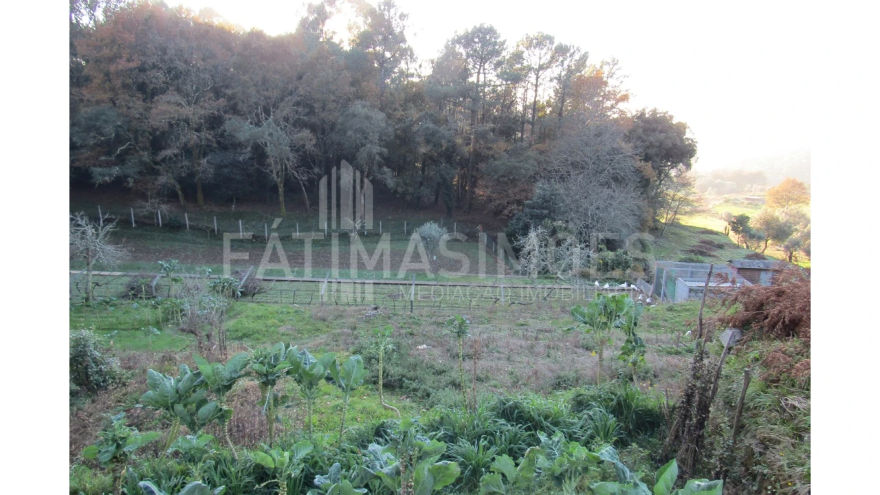 Terreno para Venda em Gondar e Orbacém Foto 3