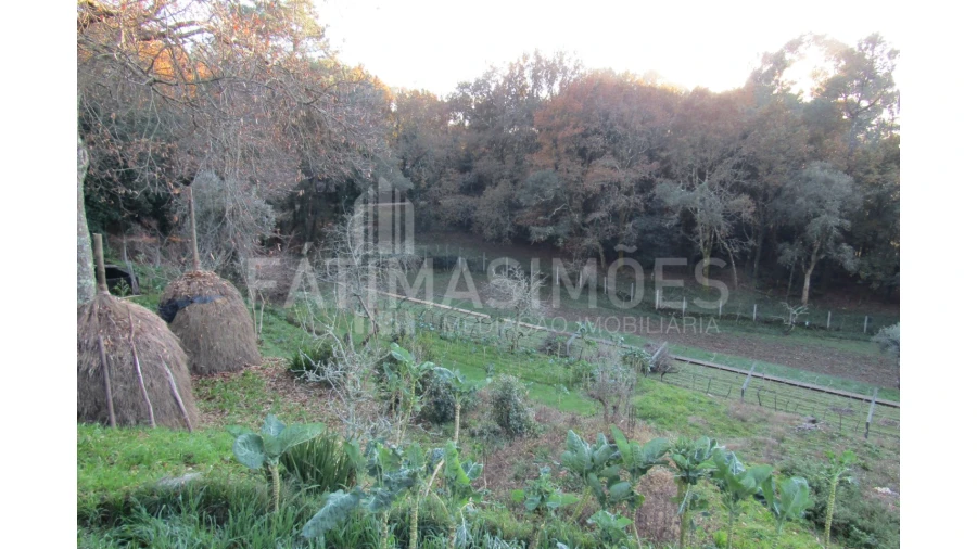 Terreno para Venda em Gondar e Orbacém Foto 1