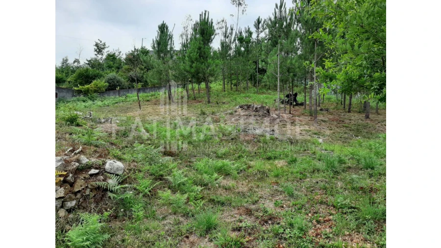 Terreno para Venda em Riba de Ancora Foto 1