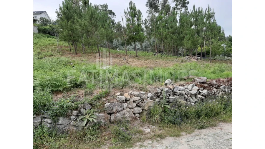 Terreno para Venda em Riba de Ancora Foto 2