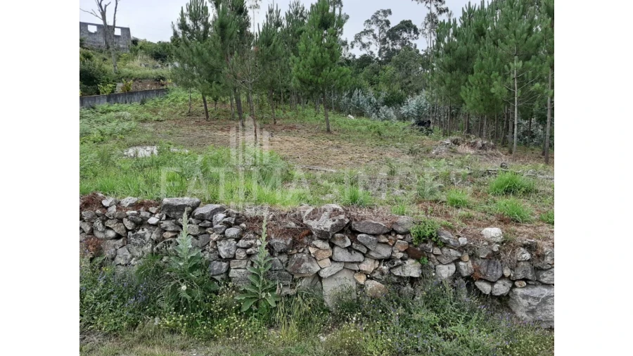 Terreno para Venda em Riba de Ancora Foto 3