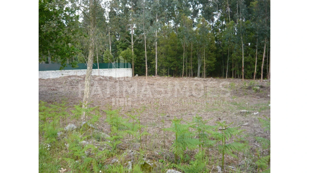 Terreno para Venda em Vilar de Mouros Foto 1