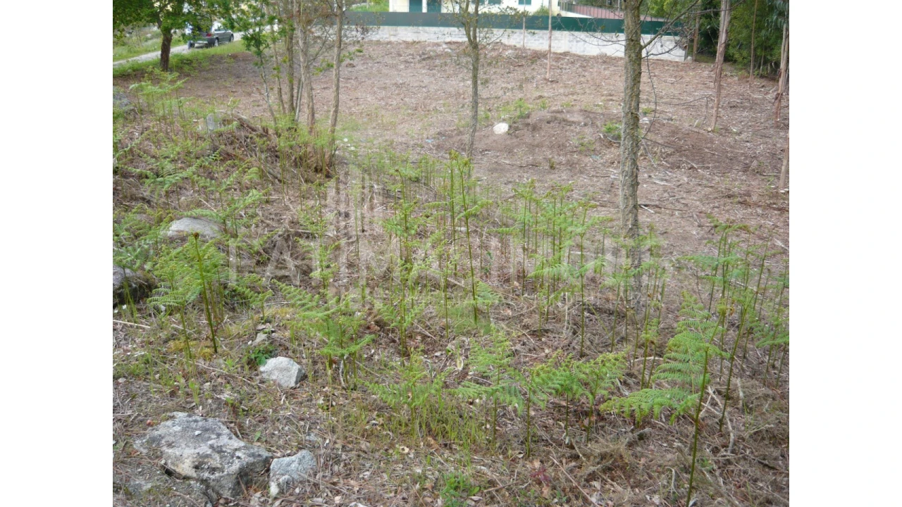 Terreno para Venda em Vilar de Mouros Foto 2