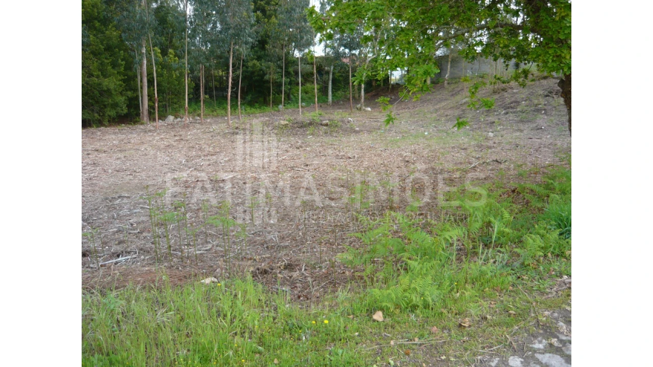 Terreno para Venda em Vilar de Mouros Foto 3