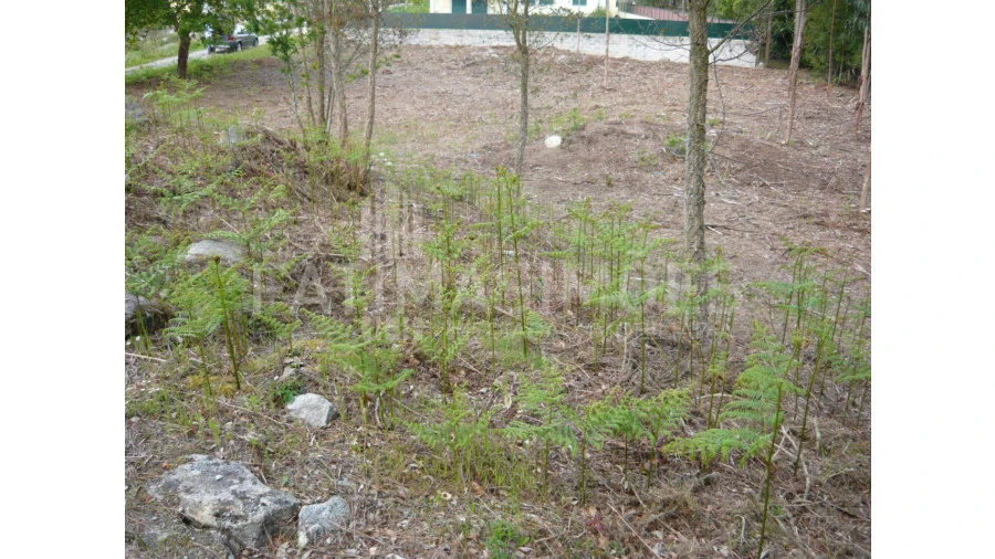 Terreno para Venda em Vilar de Mouros Foto 2