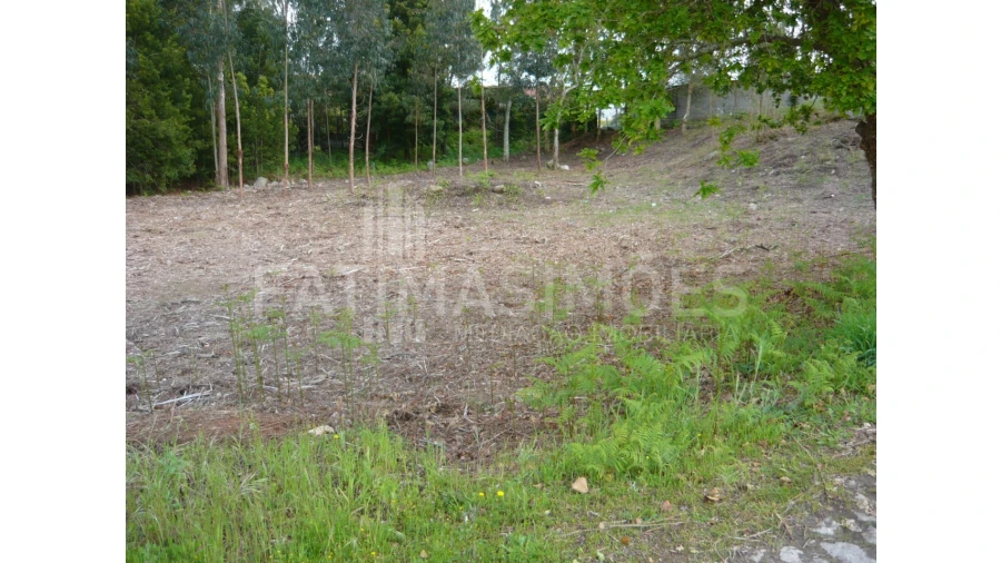 Terreno para Venda em Vilar de Mouros Foto 3