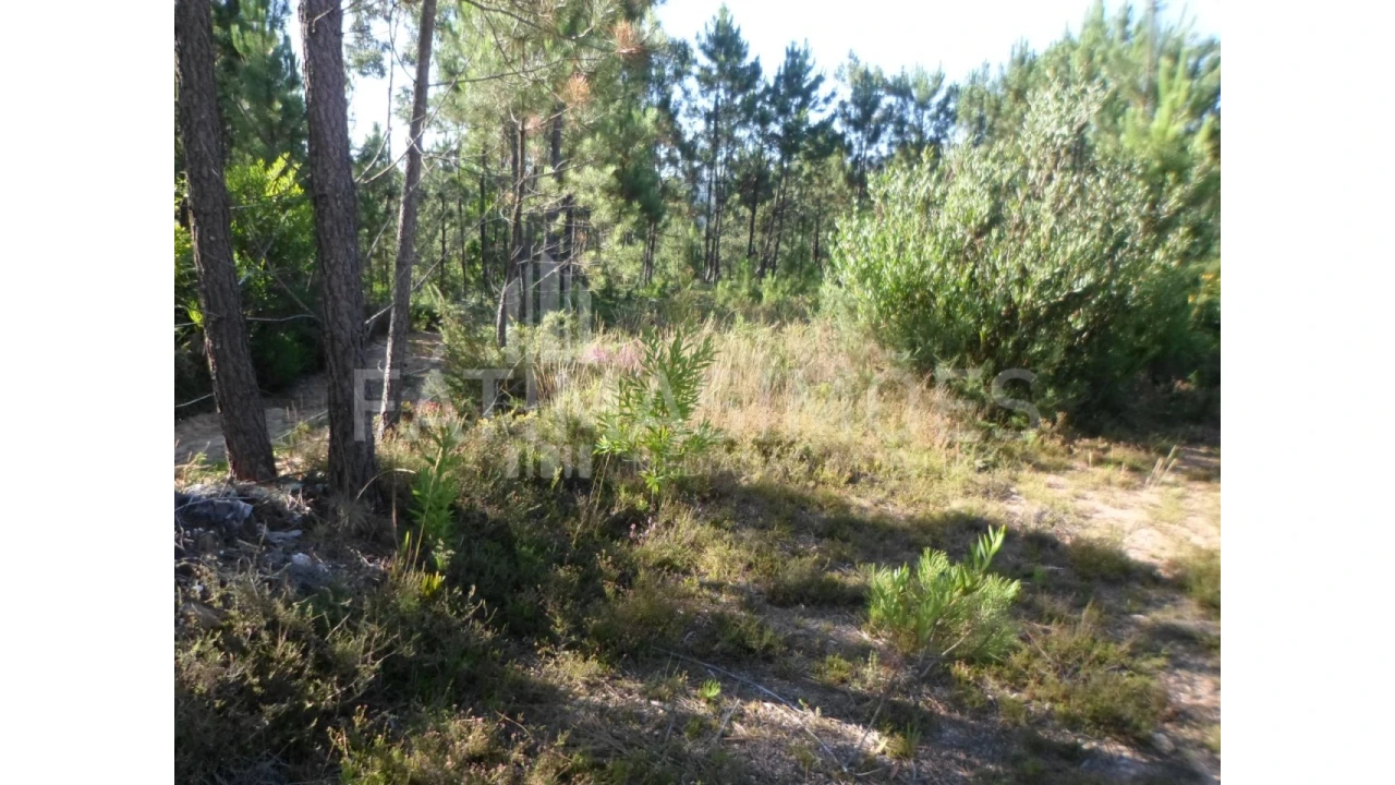 Terreno para Venda em Riba de Ancora Foto 5