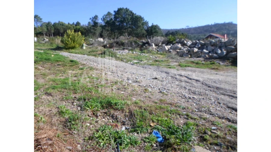 Terreno para Venda em Vila Praia de Ancora Foto 2